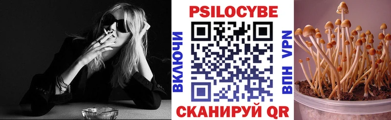что такое   Шарья  Псилоцибиновые грибы GOLDEN TEACHER 
